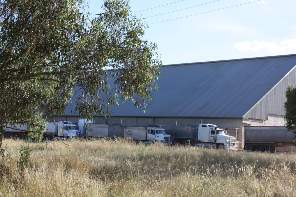 BUMPER COMMODITIES: Grain trucks backed up at the Curlewis silos last week show harvest hasn't slowed down, however, delays are concerning local grain growers.