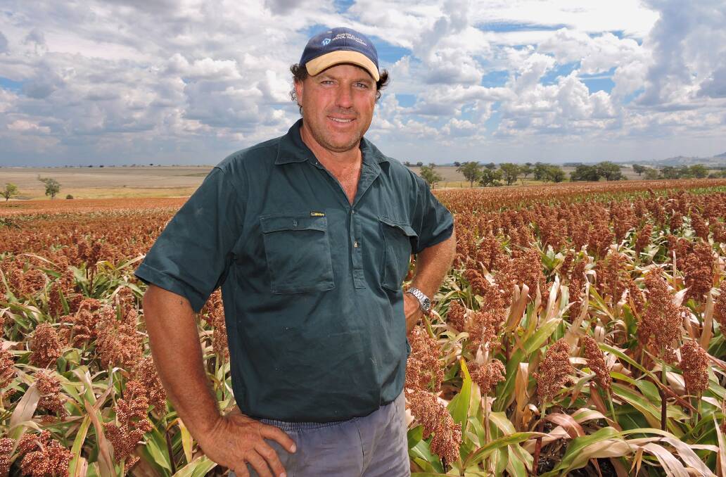 Sean Ballinger won the Inverell Agricultural Bureau sorghum competition with 91 points out of a possible 100 and an estimated yield of 9.3 tonnes per hectare.