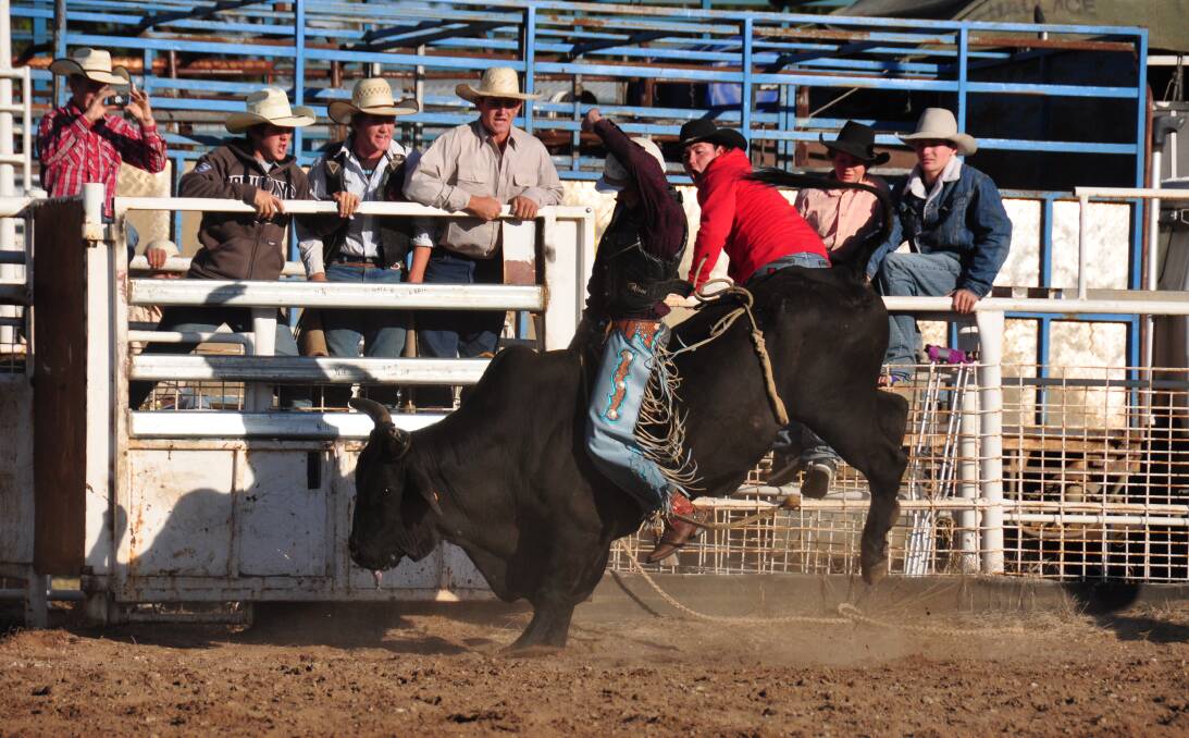 The open rodeo will have the audience on the edge of its seat with unexpected twists and turns.