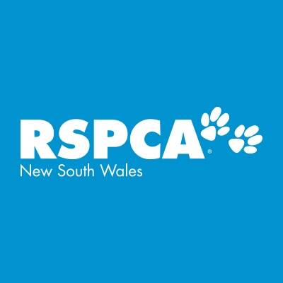 SEIZED: RSPCA NSW has 31 dogs in care from a Gunnedah property.