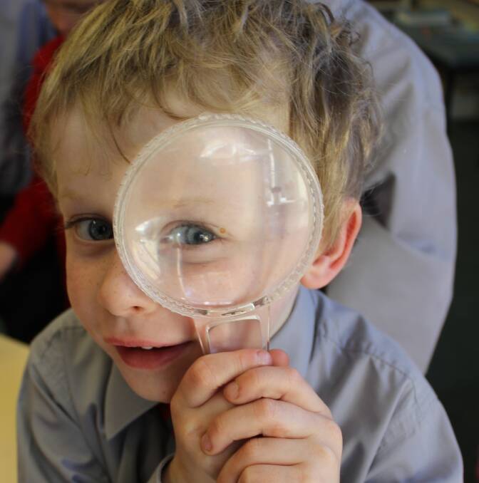 Carinya Christian School's Sebastian Chapman learning how to use a magnifying glass so he can examine some silk worms.