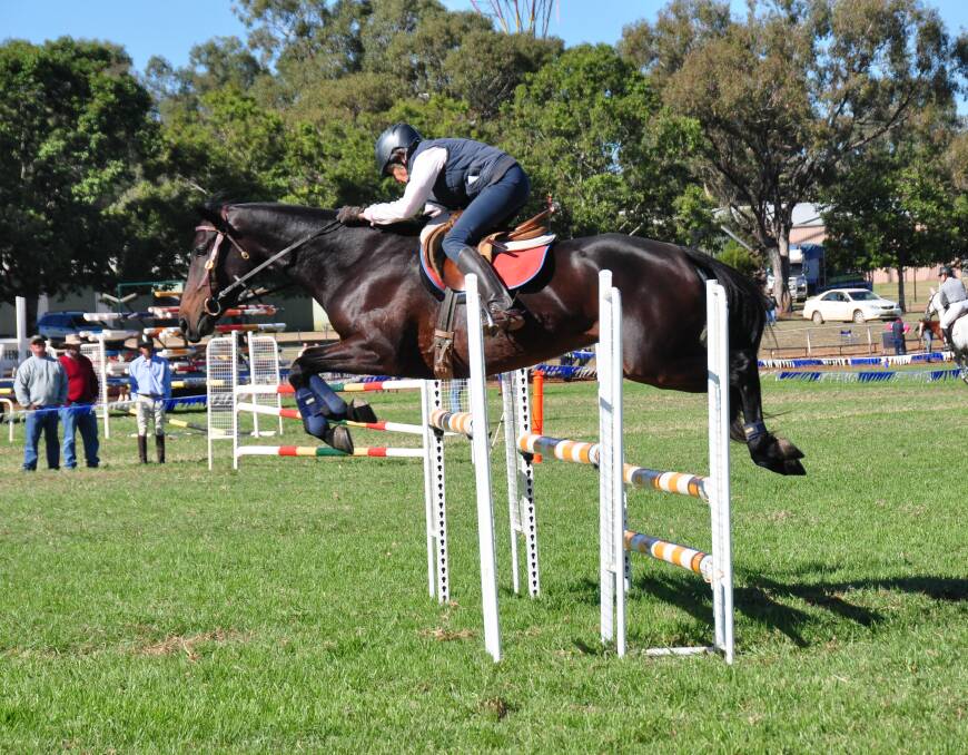 Horse lovers will have the chance to watch talented riders from around the region put their mounts through their paces.