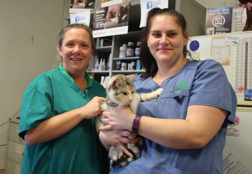 Veterinarian Tina Clifton, and vet nurse and RSPCA member, Maddison Lawback, with a cat which was recently desexed.