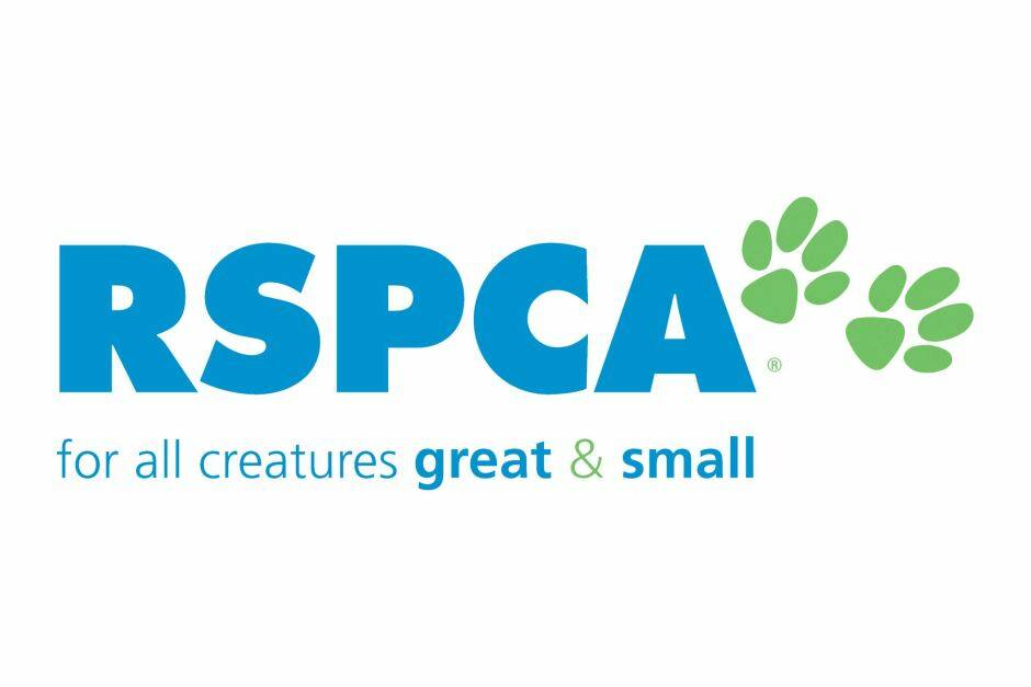31 dogs seized by RSPCA