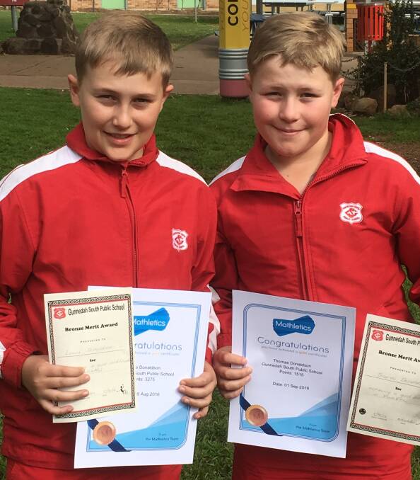 Lewis and Thomas Donaldson have made it to gold in the Mathletics program at Gunnedah South Public School.