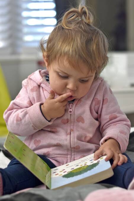 AUSTRALIAN CULTURE: Two-year-old Sophie Stokes reads, Where is the green sheep? by well-known Australian author, Mem Fox. Photo: Alyssa Barwick