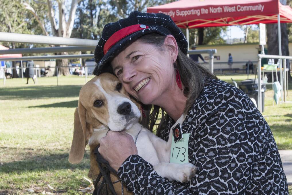 Gunnedah Kennel Club regularly holds show for dog lovers. This snap was taken by Peter Hardin earlier this year.