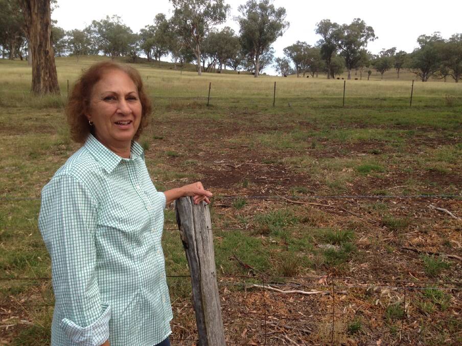 MOVING ON: Laurice still gets involved with work on the farm but doesn't get as close to the cows as she used to. Photo: Supplied