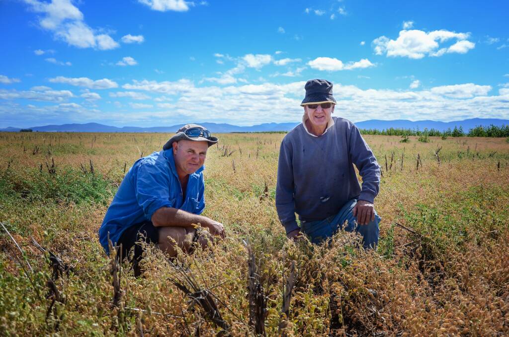 PASSION FOR FARMING: Tim and John Lyle can think of nothing better than living and working on their farm in Nea. Photo: Billy Jupp