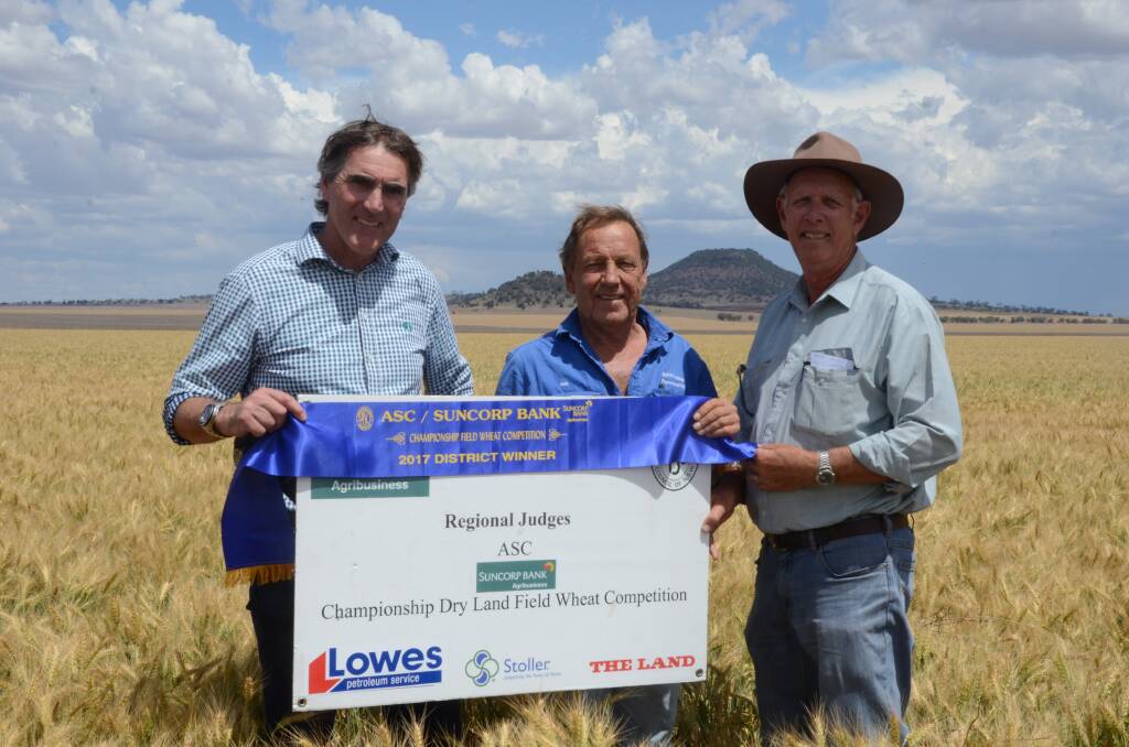 BREAD WHEAT WINNER: Nick Connors from Suncorp Bank and crops judge Paul Parker present Merrivale Partnership's Rob Davison with a ribbon for the districts best bread wheat. Photo: Billy Jupp
