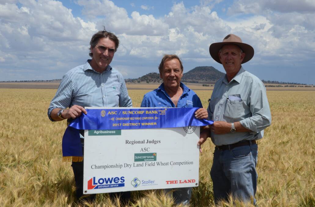 CREAM OF THE CROP: Nick Connors, from Suncorp Bank, and crops judge Paul Parker present Merrivale Partnership's Rob Davison with the blue ribbon for the district's best field wheat. Photo: Billy Jupp