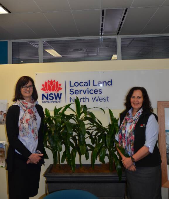 HELP ON HAND: Gunnedah Local Land Services customer service officers Lisa Naismith and Margo Weekes are on hand to help land holders with any inquiries they have. Photo: Billy Jupp 