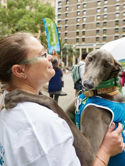 Adoption rise: Greyhounds As Pets volunteer Toni Barnes with Heidi the greyhound at a recent GAP adoption day.