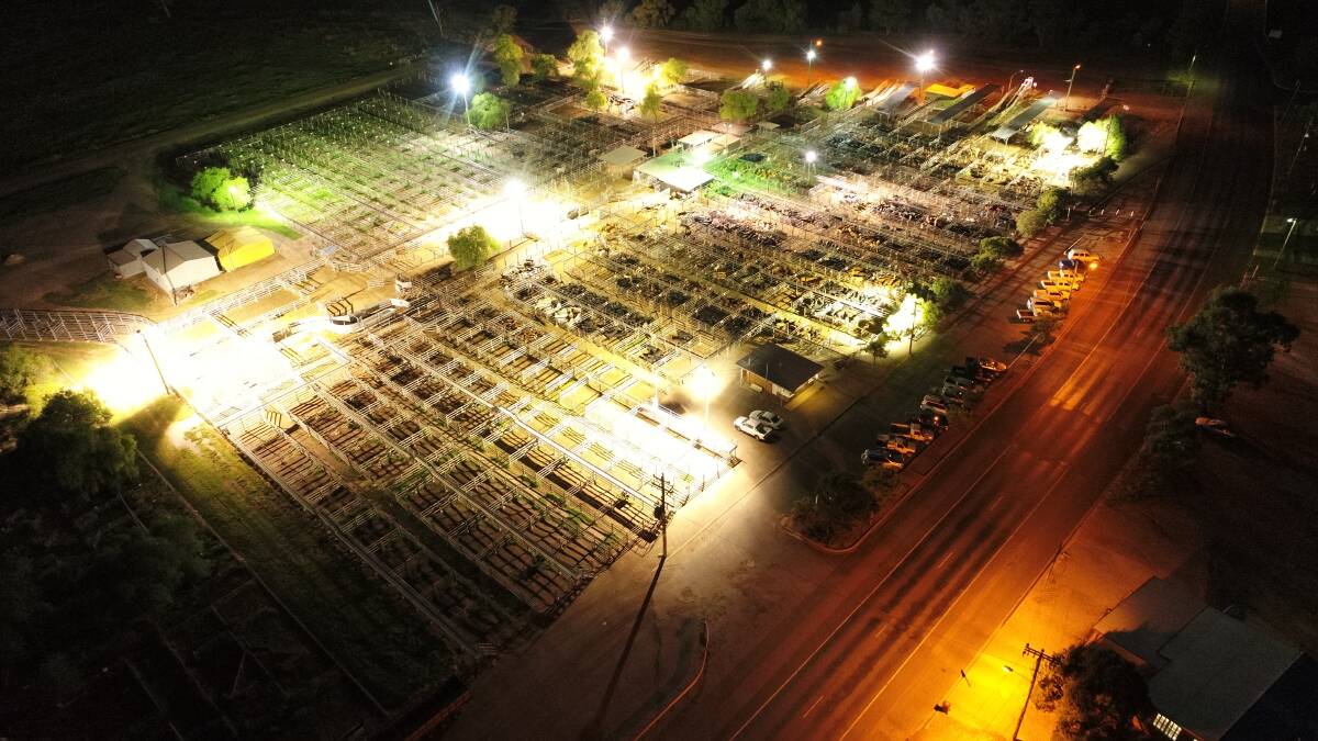 From above: Gunnedah Saleyards at night like you've never seen before as captured by drone photographer, Phil Thomas. For more like this, head to the Facebook page "The skys the limit". Photos: Phil Thomas