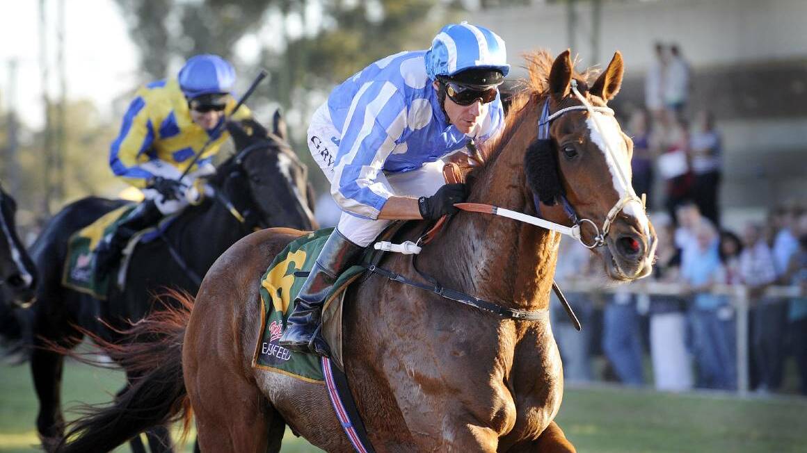 BACK ON: Prior Baron en route to winning the 2010 Gunnedah Gold Cup.
