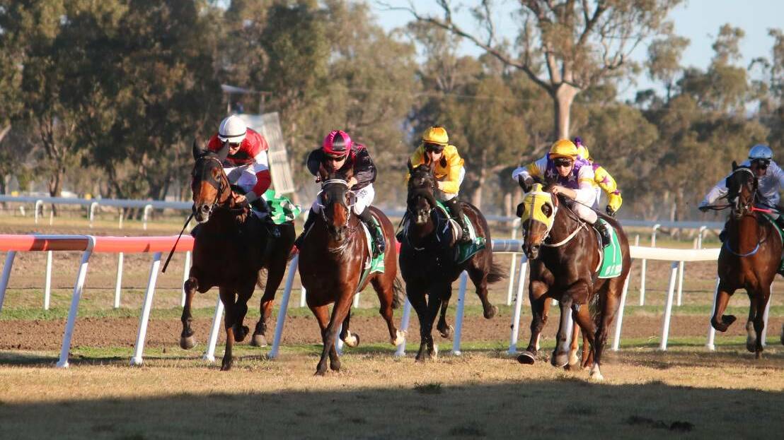 CUP FANCY: Curlewis Cup winner Avroson (black and pink colours) has been nominated for Monday's Gunnedah Cup.