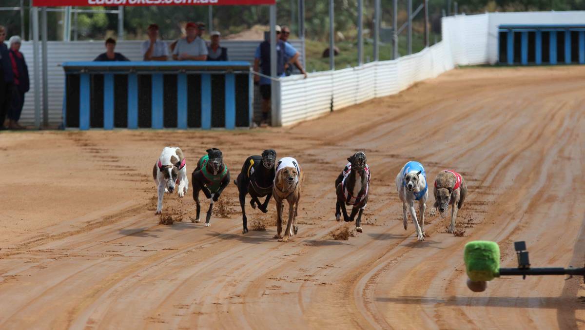 Big meeting in store: Gunnedah is playing host to a bumper 10-race Non-TAB card on Saturday afternoon. Super Kadani looks one of the better bets.