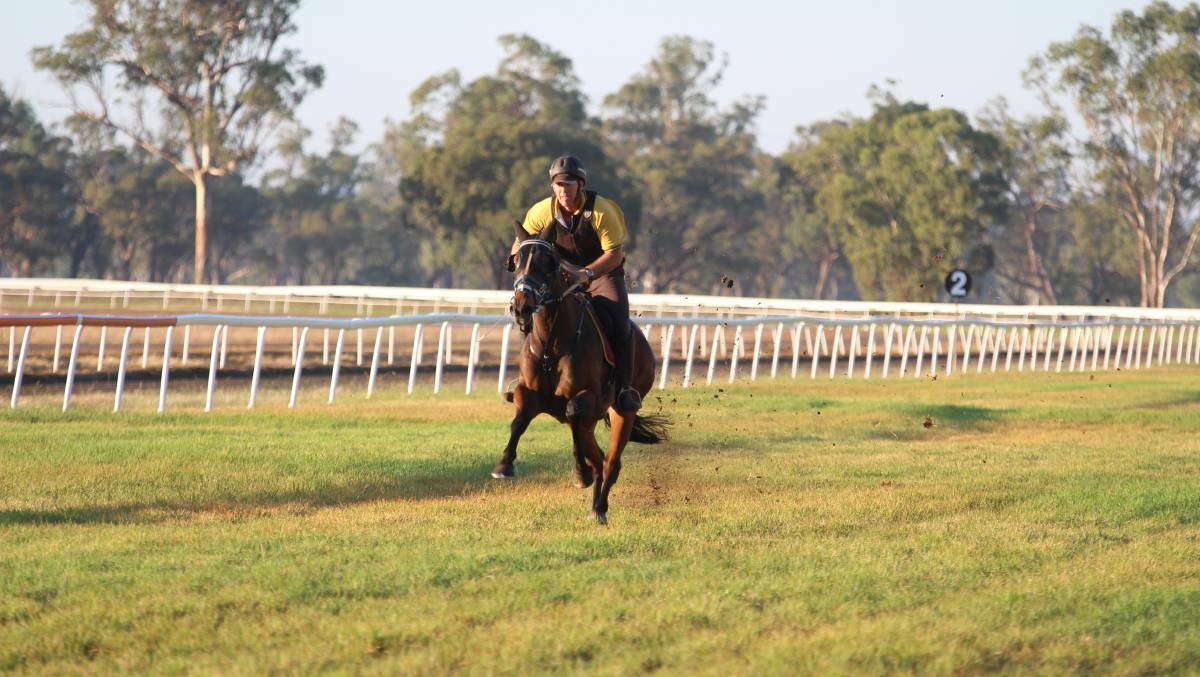 ON THE GO: Gunnedah trainer Gavin Groth heads to Scone on Friday with a real sense of anticipation.