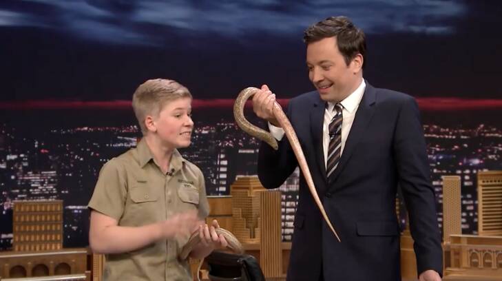 'Beaut bonzer!' Robert Irwin is a hit once again on The Tonight Show with Jimmy Fallon