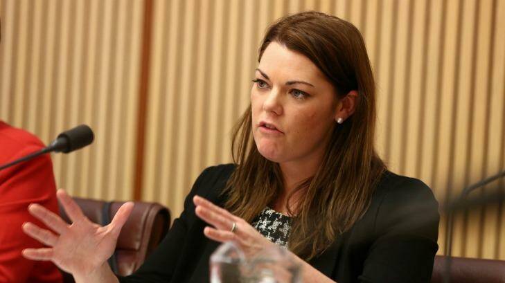 Sarah Hanson-Young: The Greens senator said that immigration information was being leaked at "suspiciously convenient times". Photo: Alex Ellinghausen