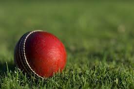 Season on the line for Gunnedah cricket reps