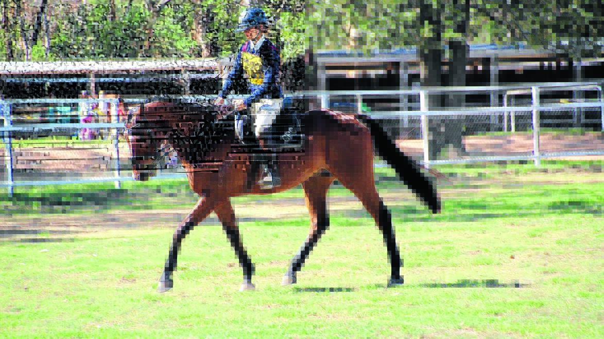 Coona calls for one last ride