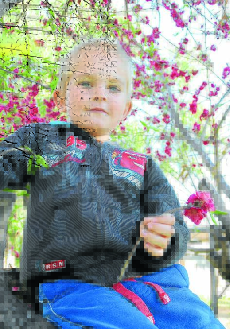 Dylan Emmerson with spring blossoms in Gunnedah.