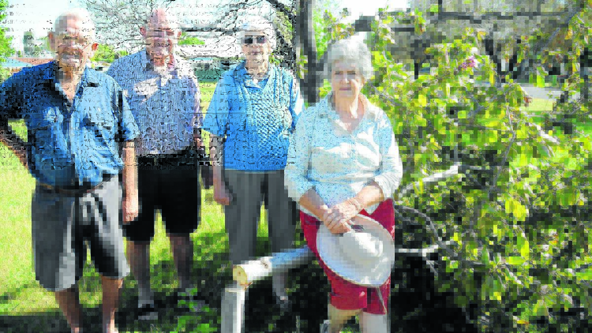 Gone: Pictured with the destroyed crabapple tree in Ken Green Park are (from left) Bob Hogbin, Michael Sparkes, Fay Hogbin and Joan Steele.