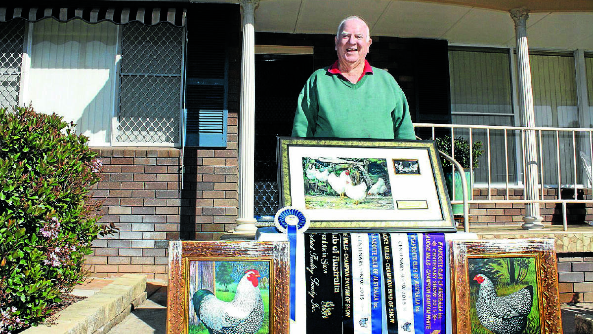 Gunnedah’s Peter Smallpiece with his ribbons and framed foul paintings won at the recent Wyandotte Club of Australia Centenary Show in Mudgee.