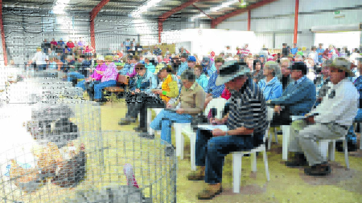 Buyers came from as far away as Victoria and Queensland for the poultry auction.
