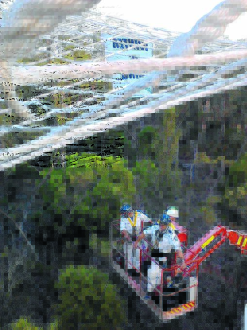 NSW Police Rescue officers scale the trees to arrest the protestors.