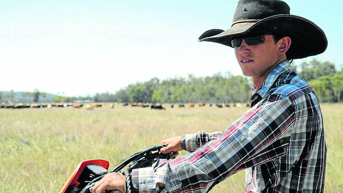 Drover Ben Williamson has been on the road since April moving 880 head of cattle from Goondiwindi to Gunnedah.