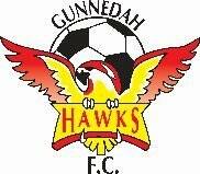 Gunnedah Hawks ready for big season ahead in 2016