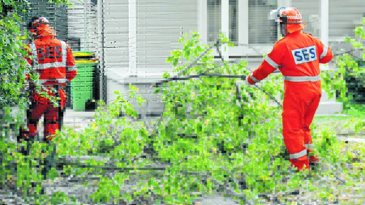 SES crews clean up a tree that fell across a driveway in George Street.