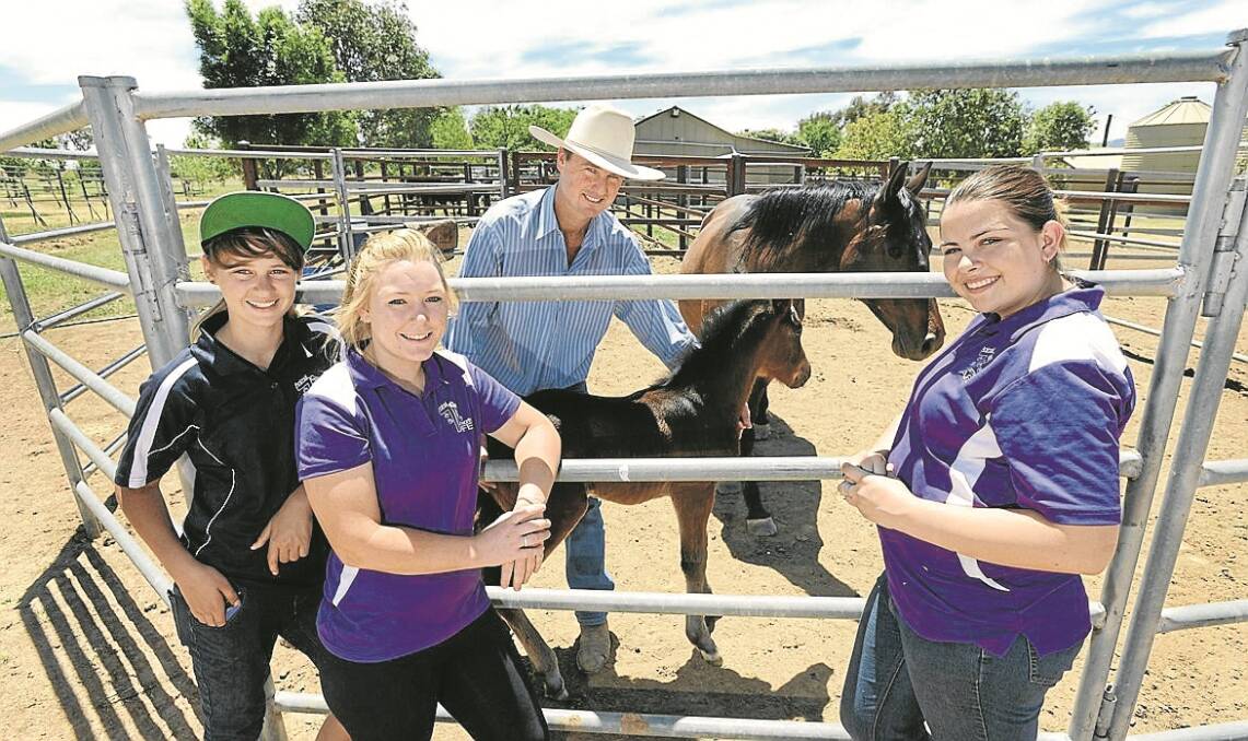 LEARNING TO RELATE. BackTrack girls at Old Dunreath Horse Stud last week are Brianna Whitten (Tamworth), Jacqui Bender (Gunnedah) and Janika Readett (Boggabri) with property owner Darren Greentree behind ­with a horse and foal. Photo: Barry Smith.