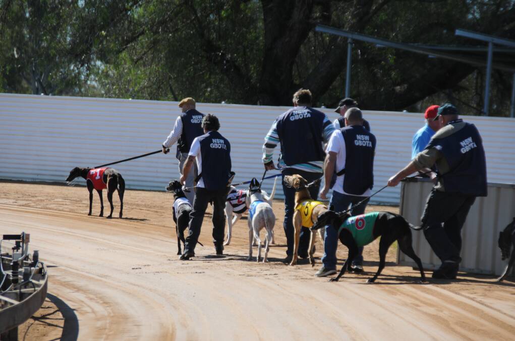 The greyhound racing industry will be shutdown in NSW, premier Mike Baird has announced.