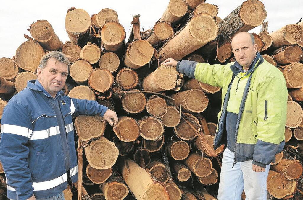 MANUFACTURERS unite. Namoi Valley Bricks owner Michael Broekman, left, urges the community to help sustain the timber industry and keep Gunnedah Timbers open. Pictured with Gunnedah Timbers manager Paddy Paul.