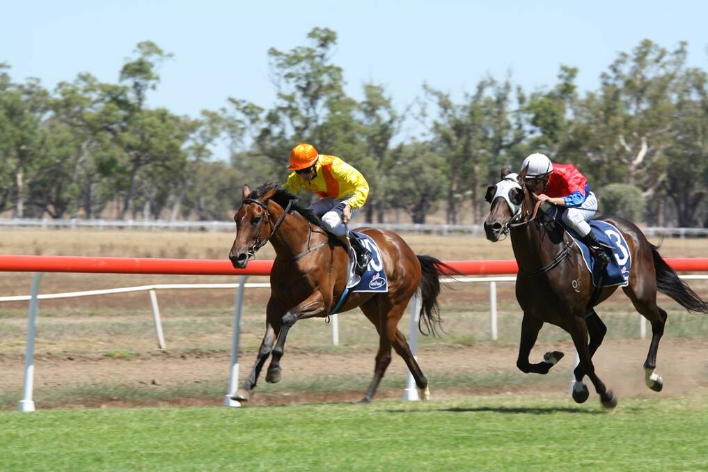 Ellie's Shadow (red,white) chases down Hariata to win the Wayne Cadman Insurance Maiden (1300m).