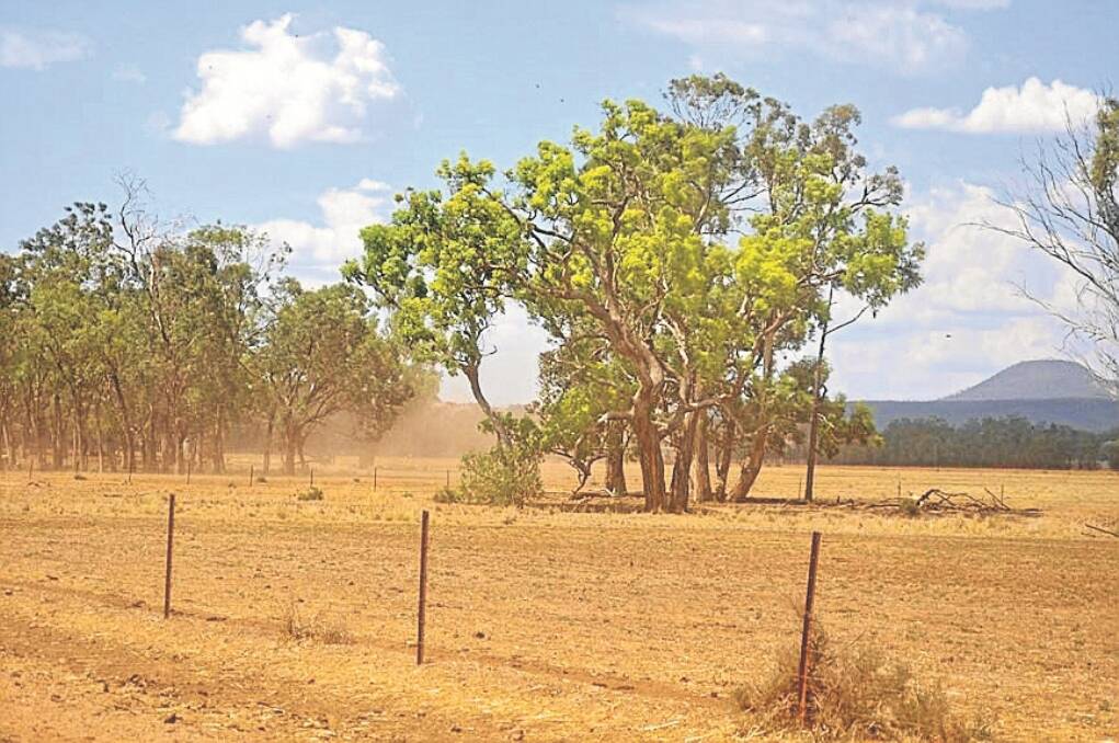 PM Tony Abbott will introduce a new drought assistance system earlier than expected.