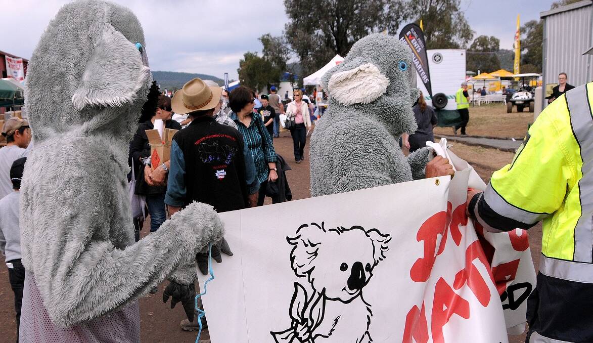 Two protesters dressed as koalas were escorted off-site at AgQuip today, after they attempted to set up a picket outside a mining related training company's stand.