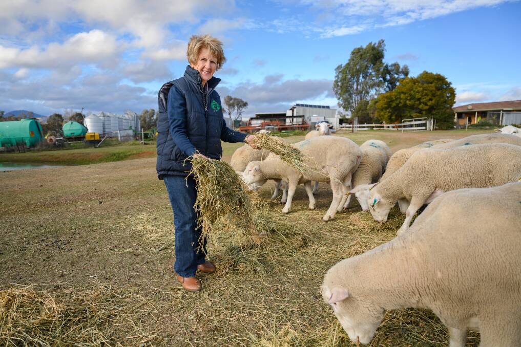 Janelle Tongue looks forward to some shepherding challenges during the Tamworth Show. Picture by Mark Kriedemann 