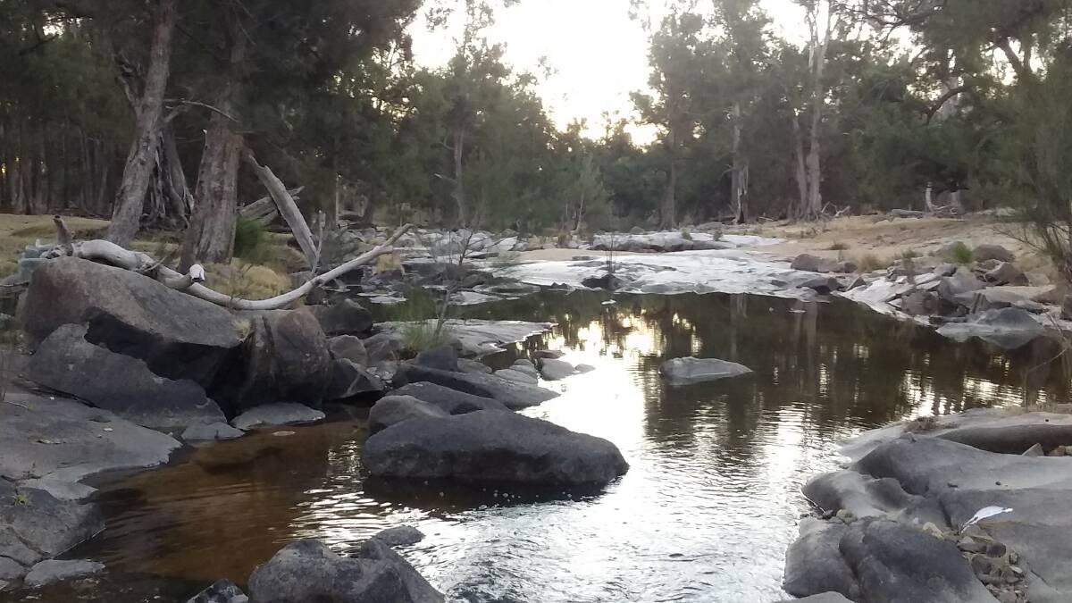 River flows: Springs have created some flow at the headwater of the Gwydir River, near where the Booralong Creek joins. Photo: Joe van Eyk.