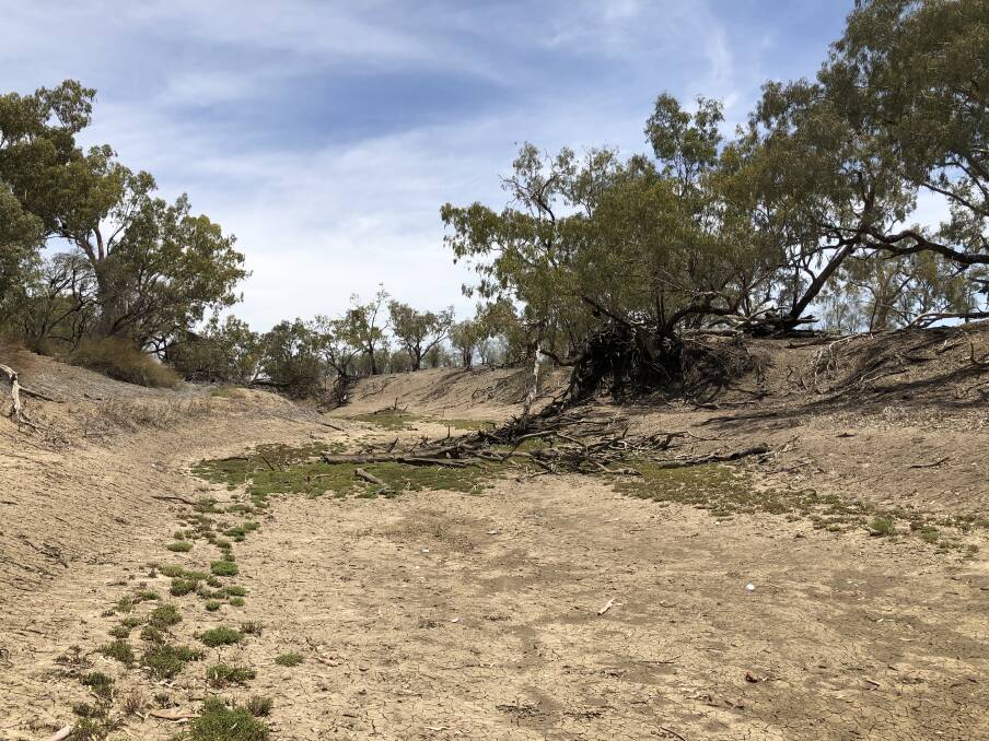 BONE DRY: Much of the Namoi River is already dry.