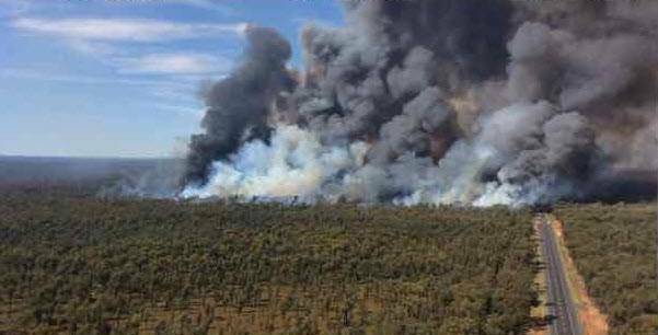FIRES RAGE: Extra crews have been flown in to help exhausted firefighters across the New England North West. Bushfires, like the Pilliga National Park blaze, pictured, have been burning since last week. Photo: NSW Rural Fire Service