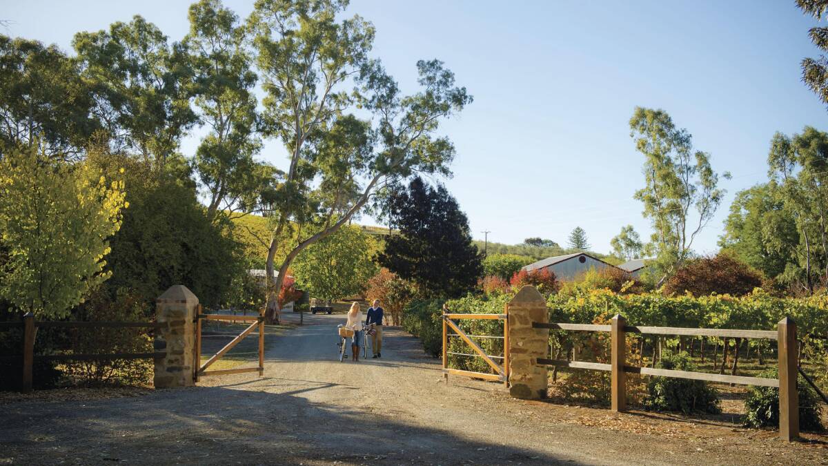 The Clare Valley … one of Australia’s most beautiful grape-growing regions.