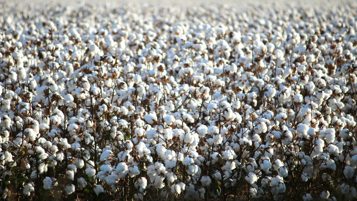 Mullaley seminar to prepare cotton growers for coming season