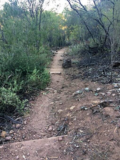 A walking track in Porcupine Reserve, which is earmarked for hazard reduction burns. Photos: Marie Hobson