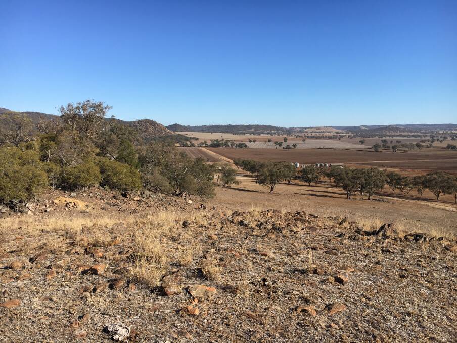 Mullaley is one of the shire's small villages, which is suffering badly from the drought. The village's main industry is agriculture. Photo: Samuel Sims