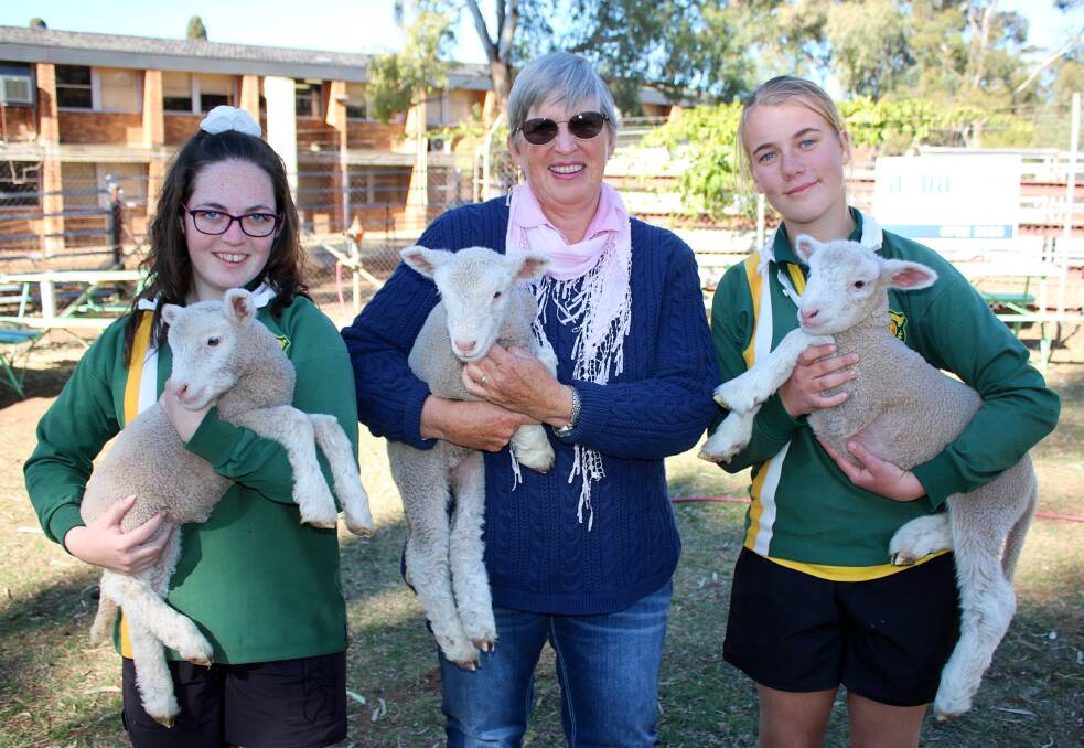 Former stud owner Karen Fogarty (centre) and year 9 agriculture students Jorja Kemp and Leisel Torrens with three of the new lambs at Gunnedah High School.
