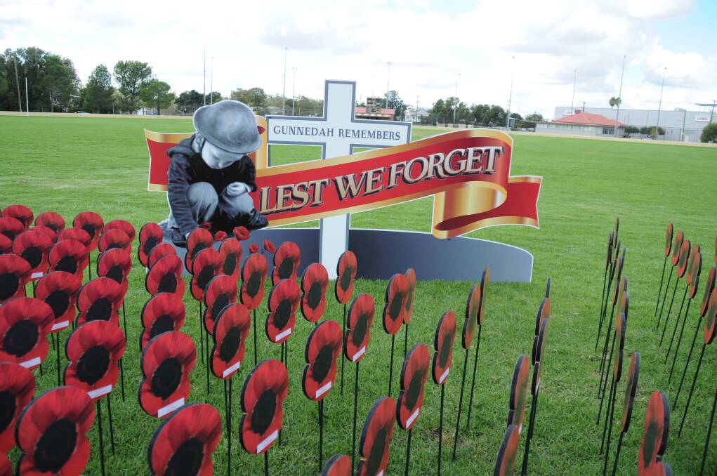 Poppies in the Park at Wolseley Oval in 2015.